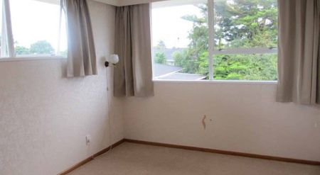 THREE BEDROOMS - AWAPUNI - Photo 5