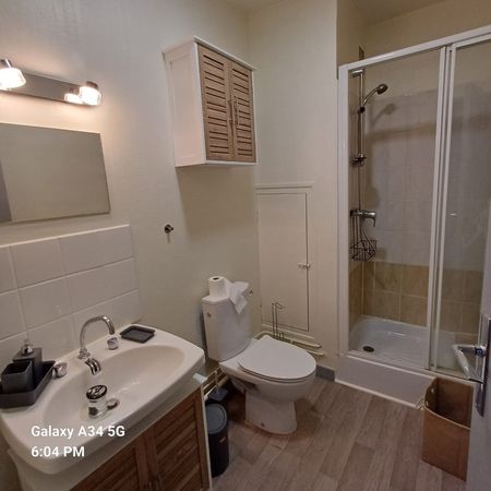 Location Appartement 1 pièce 25m² - Photo 4