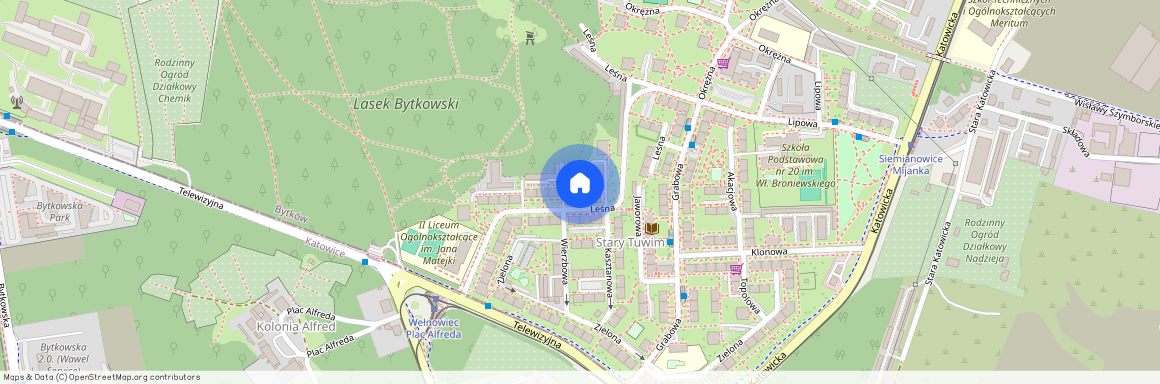 ul. Leśna, Centrum, Siemianowice Śląskie, śląskie