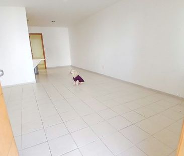 RENTA CASA, COL LA PALMITA,GUADALAJARA | coto privado int 75 - Photo 3