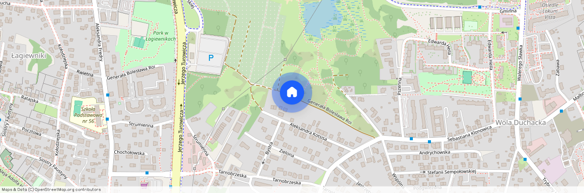 ul. gen. Bolesława Roi, Wola Duchacka, Podgórze Duchackie, Kraków, małopolskie