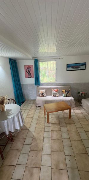 Rivière Pilote - Appartement - F2 - Photo 1