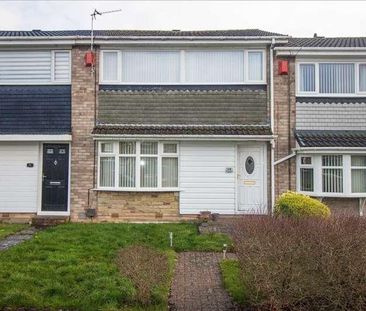 Mainstone Close, Whitelea Dale, Cramlington, NE23 - Photo 4