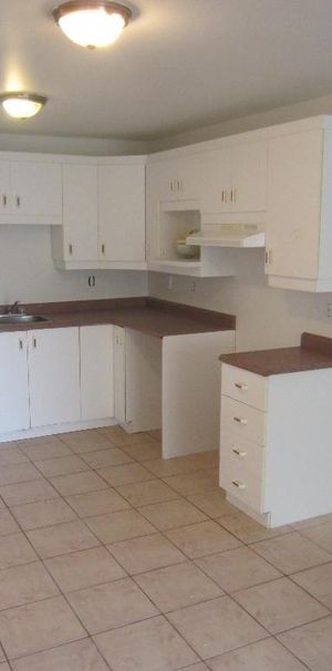 BEAU 4 1/2 LIBRE AU 1ER JUILLET DELSON RIVE SUD - Photo 1