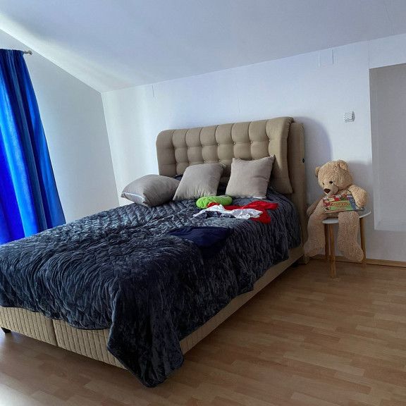 Casa individuala si curte in Davinci/ PET FRIENDLY - Photo 1