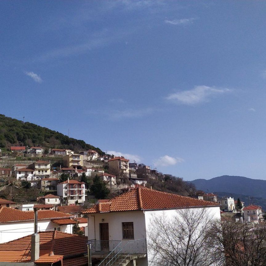 Διαμέρισμα για ενοικίαση Κέντρο (Καρπενήσι) - Photo 1