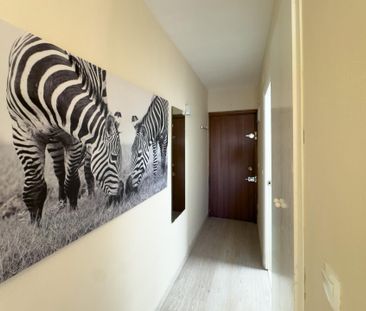 Estudio de alquiler en Justicia - Chueca - Photo 4