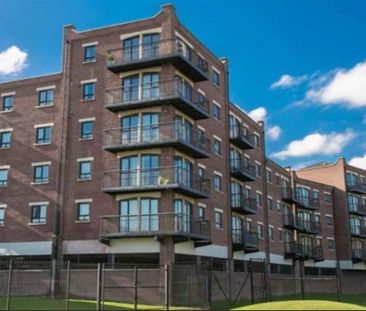 38 Cromwell Court, 110 Cromwell Road, Belfast, BT7 1NE - Photo 5