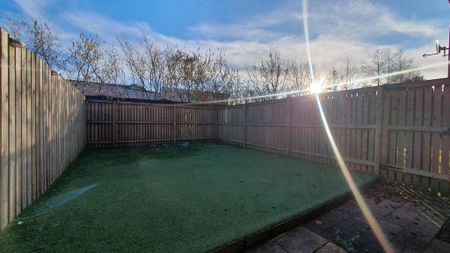 3 bedroom mews to rent - Photo 5