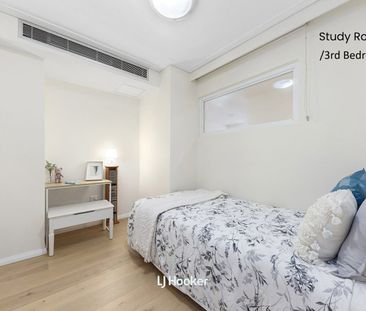 North Facing - Full Brick Apartment walk to train and shops - Photo 6