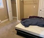 1 BEDROOM SPACIOUS BASEMENT SUITE FOR RENT - Photo 1