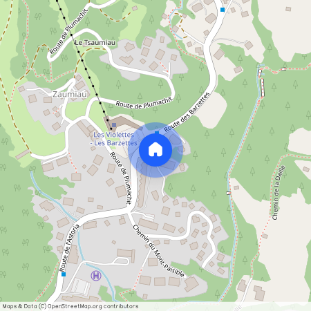 Route des Barzettes 20, 3963 Crans-Montana