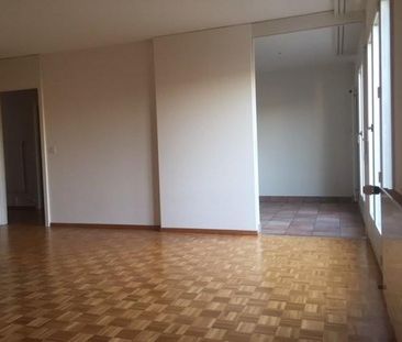 Charmant 4.5 pièces dans un quartier très familial - Photo 1