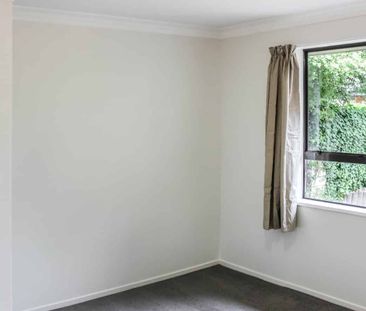Newly Renovated Three Bedroom Home - Photo 4
