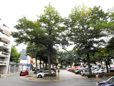 Ruim en gerenoveerd appartement met 2 slpkrs in hartje Aalst - Foto 2