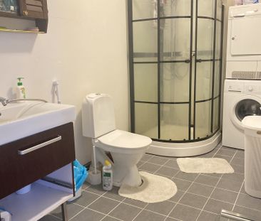 Rone autsarve, Hemse - Photo 4