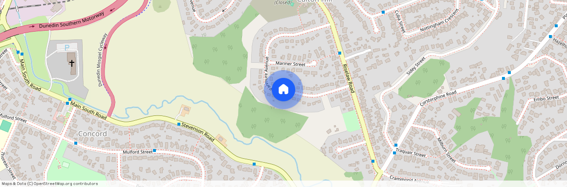 78 Panmure Avenue, Calton Hill, Dunedin City