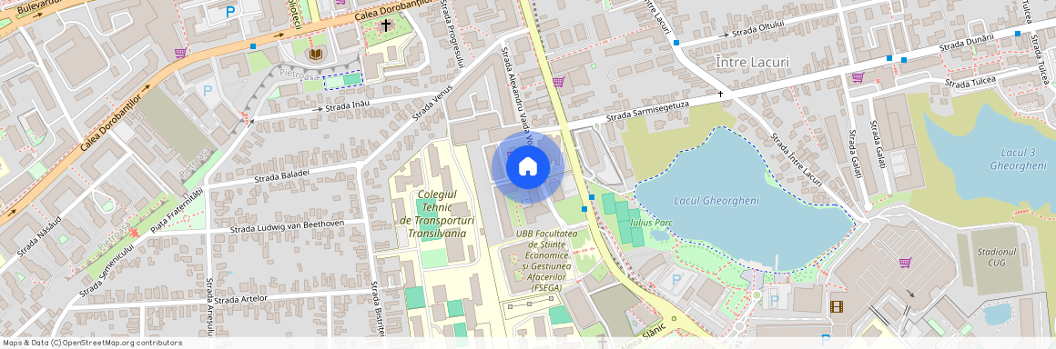 St.38 Str. Vaida Voievod (40-1S), Strada Alexandru Vaida Voevod, Micro 1, Gheorgheni, Cluj-Napoca, Zona Metropolitană Cluj, Cluj, 400436, România