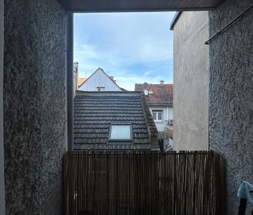 Location Appartement 3 pièces 63m² STRASBOURG 67200 - Photo 2