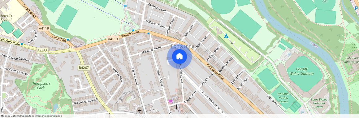 Iestyn Street, Pontcanna, Cardiff, CF11