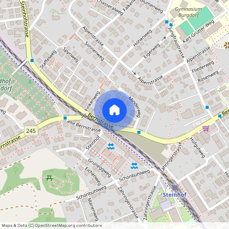 Minderweg 11, 3400 Burgdorf, Lageplan