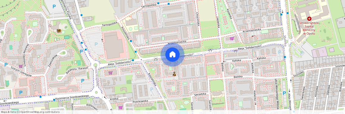 ul. Aleja "Solidarności", Malinka, Opole, opolskie