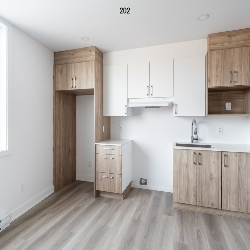Condo for rent, Montréal (Rosemont/La Petite-Patrie) - Photo 1