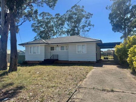 Updated Family Home - Photo 5