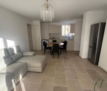 Location longue durée : 3 pièces - Grande terrasse - Lumineu - Photo 1