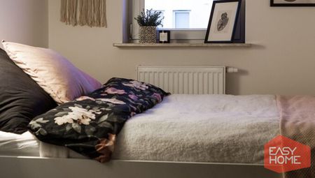 Poznań - Zdjęcie 4