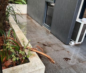 116b/1-19 Colombo St , MITCHAM - Photo 3