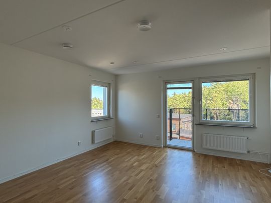 Storseglet, Vega - Foto 1