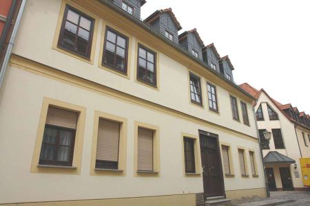 **NEU** 1-Raum-Singlewohnung in der schönen Delitzscher Altstadt - Photo 3