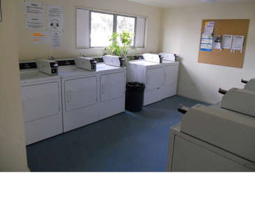 Fully Furnished Studio in Mt Cook - Photo 4