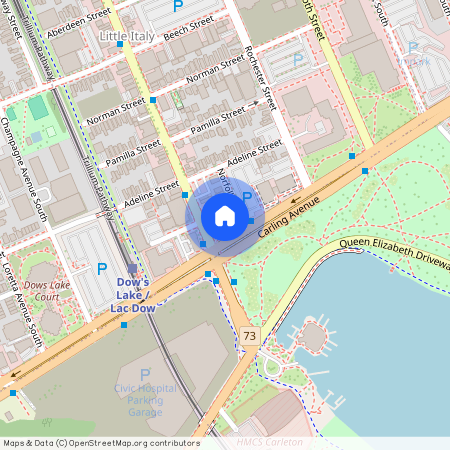 805 Carling Avenue, Dows Lake - Civic Hospital And Area