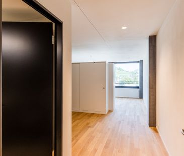 1.5 Zimmer, 38 m², 17. Stock - Foto 5