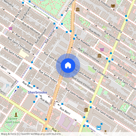 874 Rue Sherbrooke E. #304, Ville-Marie (Montréal), H2L1K9