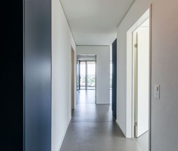 3.5 Zimmer, 76 m², 11. Stock - Photo 5