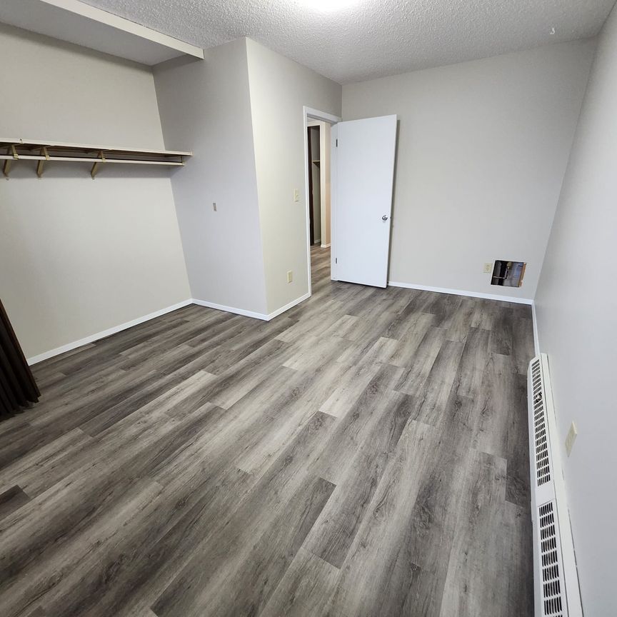 Large 1 Bedroom Unit Close to All Amenities!! - Photo 1