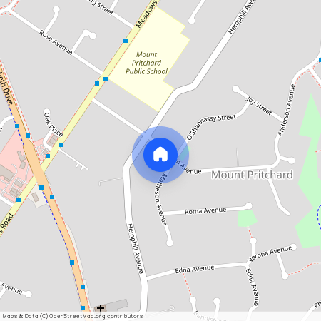 120 Anderson Avenue, NSW 2170, Mount Pritchard