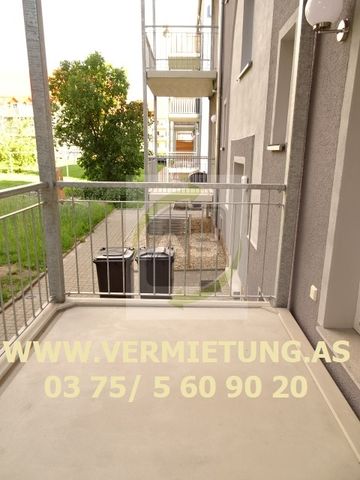 Platz für die kleine Familie - Foto 4