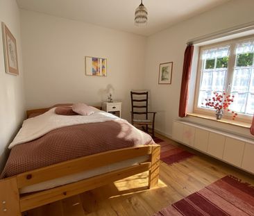 3-ROOM APARTMENT IN RICKENBACH SULZ (ZH), FURNISHED, TEMPORARY - Photo 3