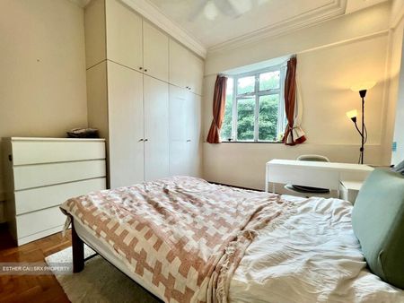Novena Lodge (D11), Condominium - For Rent - Photo 4
