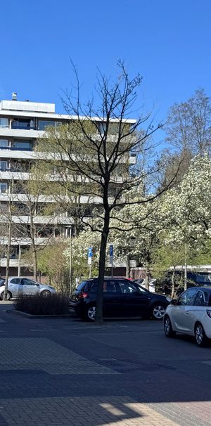 Marne 103 - Photo 1