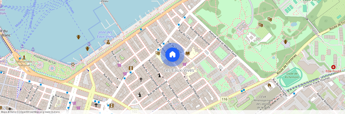 Rue des Vollandes 21, 1207 GENEVE