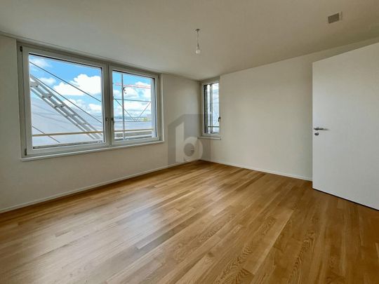 ERSTBEZUG: GROSSER BALKON, SICHT AUF DEN ÜETLIBERG - Photo 1