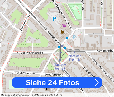 Repräsentatives Wohnen am Schlossgarten: Frisch renoviert & voller ... - Foto 1