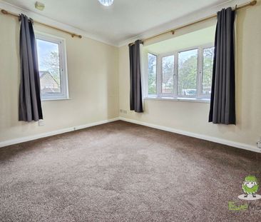1 Bedroom - Photo 6