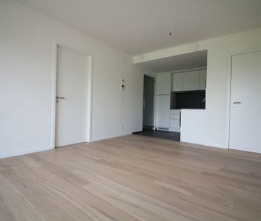 Apartments To Let 1 bedroom directly with the owner - Photo 2