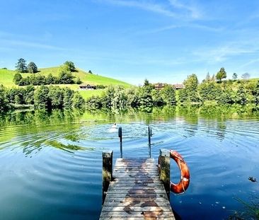 4.5-ROOM HOUSE IN MENZINGEN (ZG), FURNISHED, TEMPORARY - Photo 2